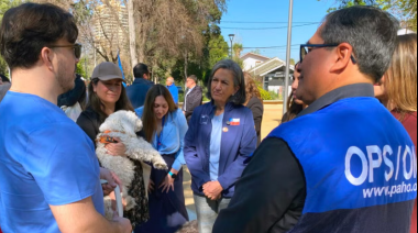 Chile logra validación de la OMS por eliminar la rabia transmitida por perros