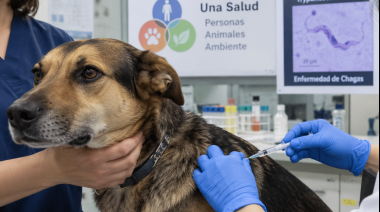 Investigan una vacuna contra el Chagas destinada a perros