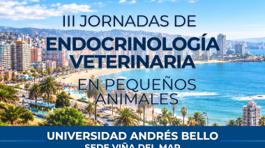 12 y 13 de abril - II Jornadas de Endocrinología Veterinaria en Pequeños Animales