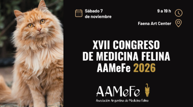 7 de noviembre - XVII Congreso de Medicina Felina de AAMeFe