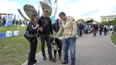 CABA impulsa una ley integral de bienestar animal