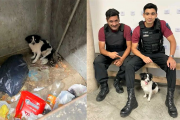 La mujer que tiró una perrita en un contenedor de basura fue imputada por maltrato animal