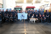 Veterinarios capacitaron a bomberos K9 en atención de emergencias animales