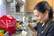 Estudiarán la resistencia a antibióticos en cepas de Escherichia coli de origen animal