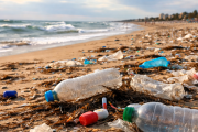 Casi el 80% de los residuos en las playas bonaerenses son plásticos