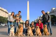 Argentina, en el "Top 10" mundial de población canina