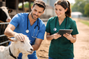 La WVA pide a los gobiernos integrar a los veterinarios en políticas de salud pública