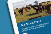 Salud del rodeo: el eje del nuevo manual del INTA sobre Feedlot Ecológico