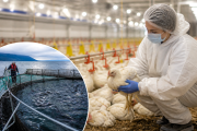 Científicos de Argentina y Chile buscan frenar virus que impactan en la producción animal