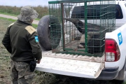 Veterinarios capacitan a fuerzas de seguridad sobre fauna silvestre