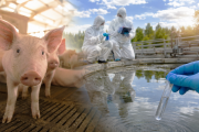 Hepatitis E y Hantavirus: los datos del BEN que encienden alarmas veterinarias