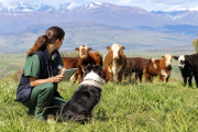 Cuidar el ambiente también es tarea veterinaria