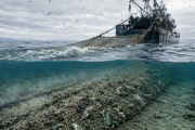 Océanos al límite: el impacto de la pesca industrial