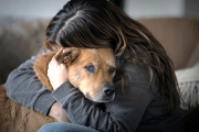 Violencia vicaria: los animales también necesitan protección judicial
