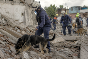 Veterinarios argentinos brindan apoyo técnico tras el sismo en Venezuela