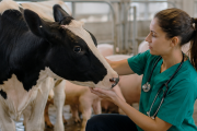 Una Salud: la clave para prevenir las zoonosis