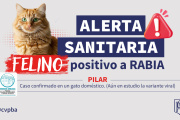 Confirman un caso de rabia en un gato doméstico en Pilar