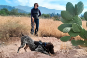 Olfato canino aplicado a la conservación de la fauna local