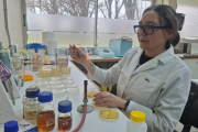 Buscan desarrollar un probiótico para combatir bacterias resistentes en perros y gatos
