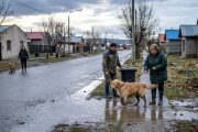 Alerta en Santa Cruz por leptospirosis en caninos