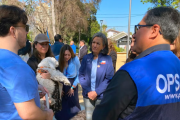 Chile logra validación de la OMS por eliminar la rabia transmitida por perros