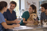 El veterinario que nadie me enseñó a ser