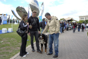 CABA impulsa una ley integral de bienestar animal