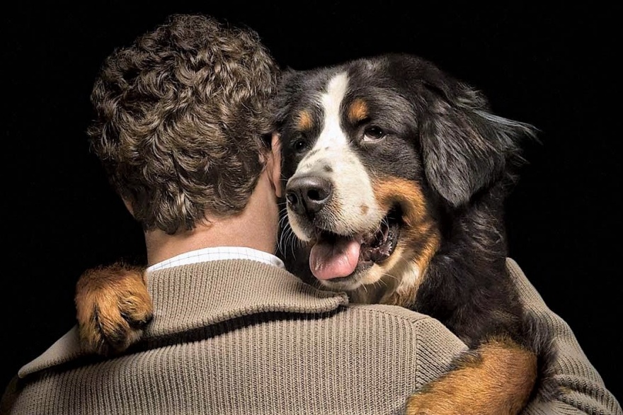 cómo interactúan los perros con los humanos