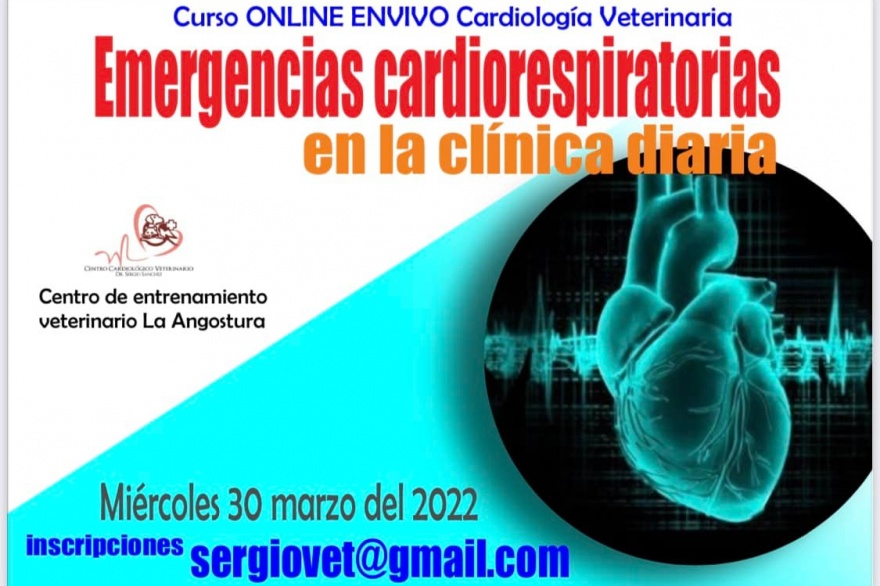 30 de marzo - Curso de Emergencias Cardiorespiratorias en la Clínica Diaria