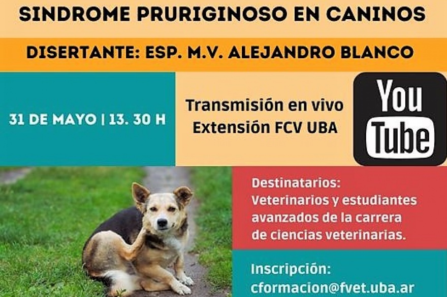 31 de Mayo - Síndrome Pruriginoso en Caninos