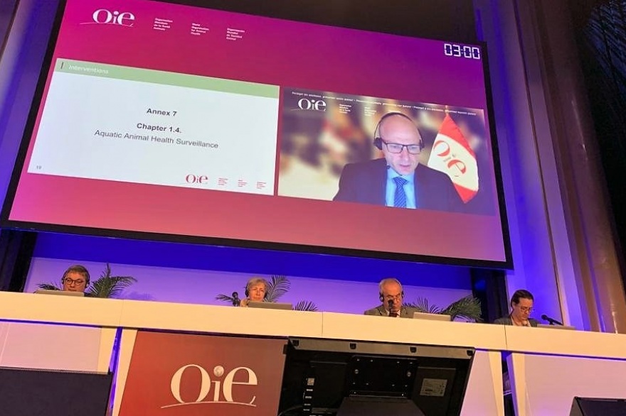 La OIE analizó la sanidad animal en el mundo - Vet Market La OIE analizó la sanidad animal en el mundo - Vet Market