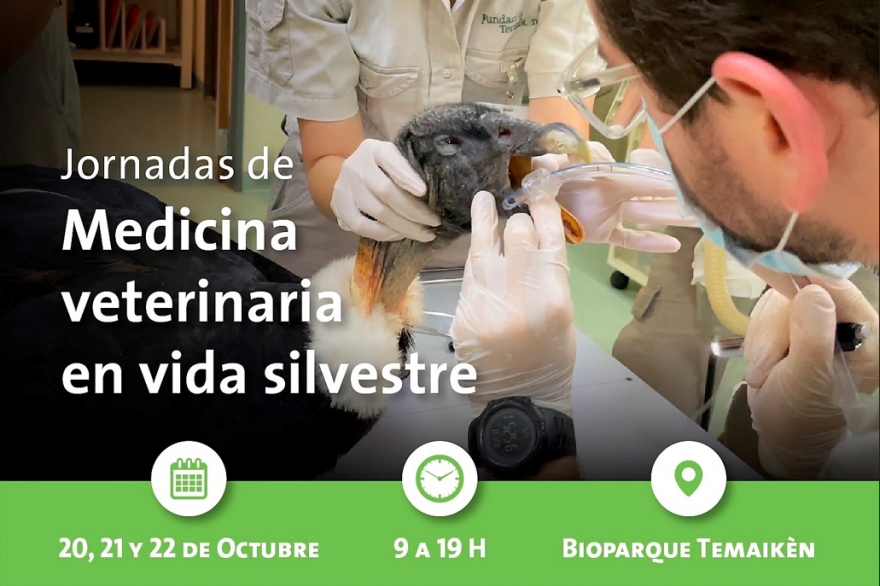 20 al 22 de Octubre - Jornadas de Medicina Veterinaria en Vida Silvestre