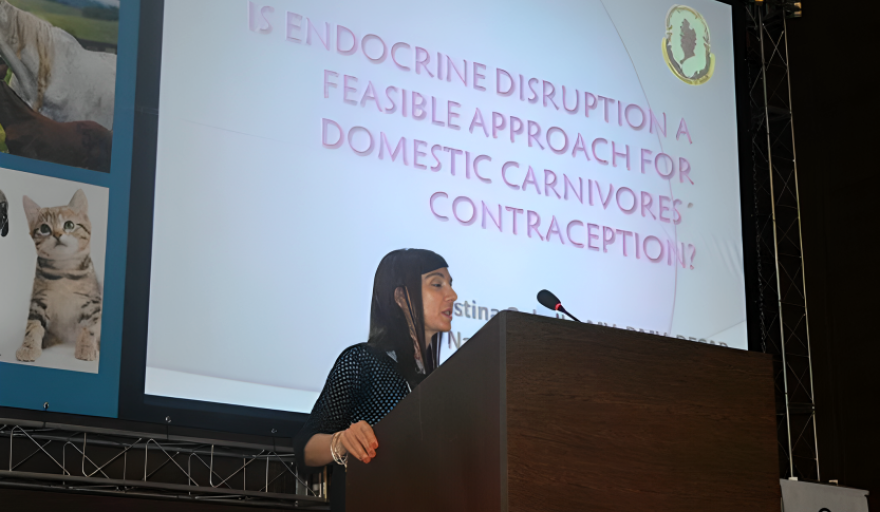 Cristina Gobello alcanzó la máxima categoría del CONICET